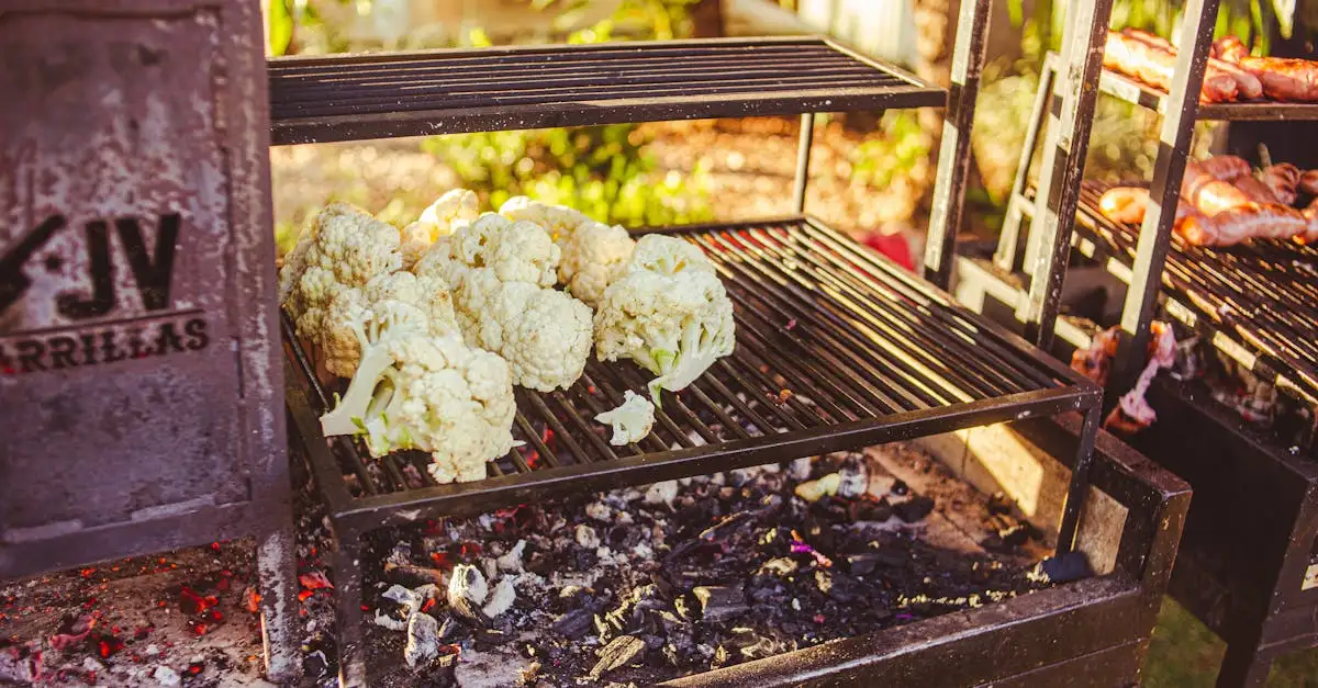 Lekkere barbecue groenten grillen voor een zomerse maaltijd
