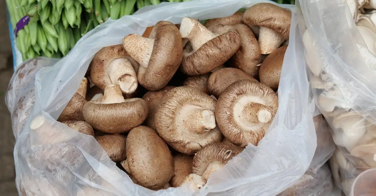 Chinese roerbakmix kopen voor de lekkerste Aziatische