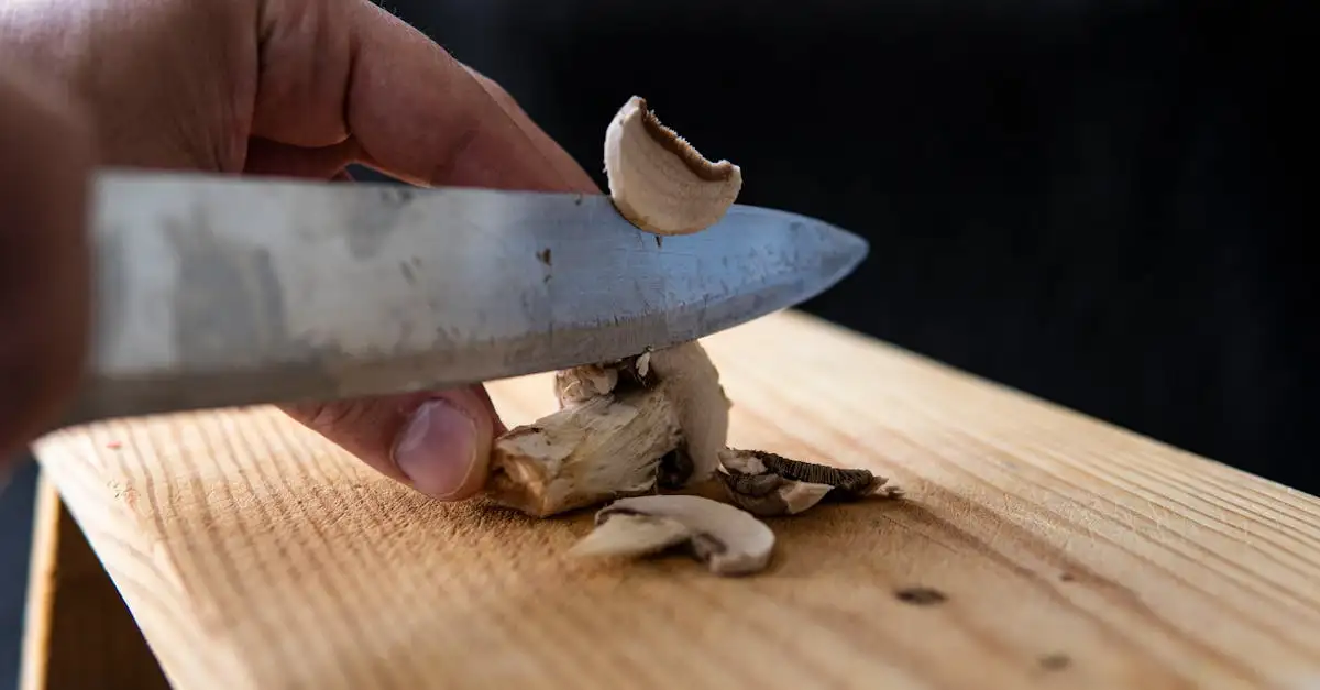Eenvoudige vegetarische gerechten voor elke dag