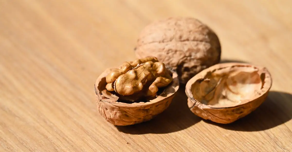 Eiwitrijk vegan eten: lekkere recepten en tips voor je voeding.