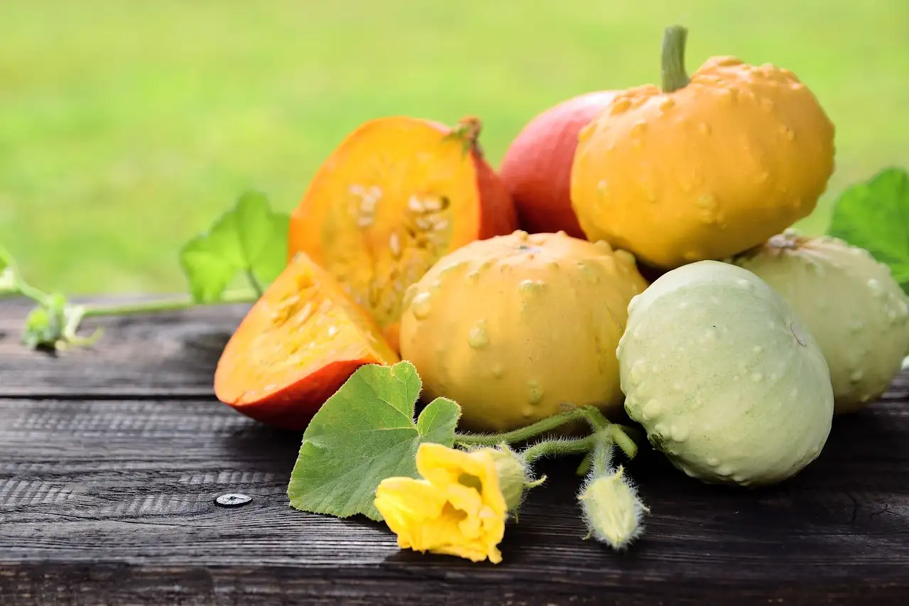 Gezonde gefermenteerde groenten maken en bewaren