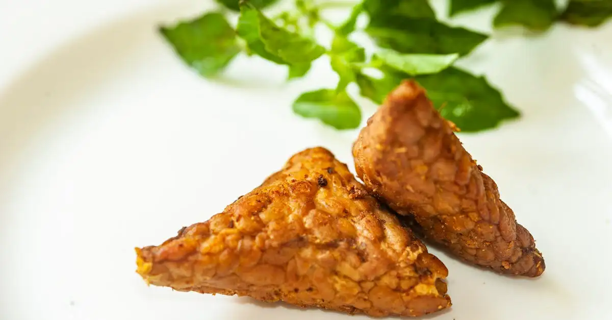 Vegetarische kipstukjes van de Vegetarische Slager kopen