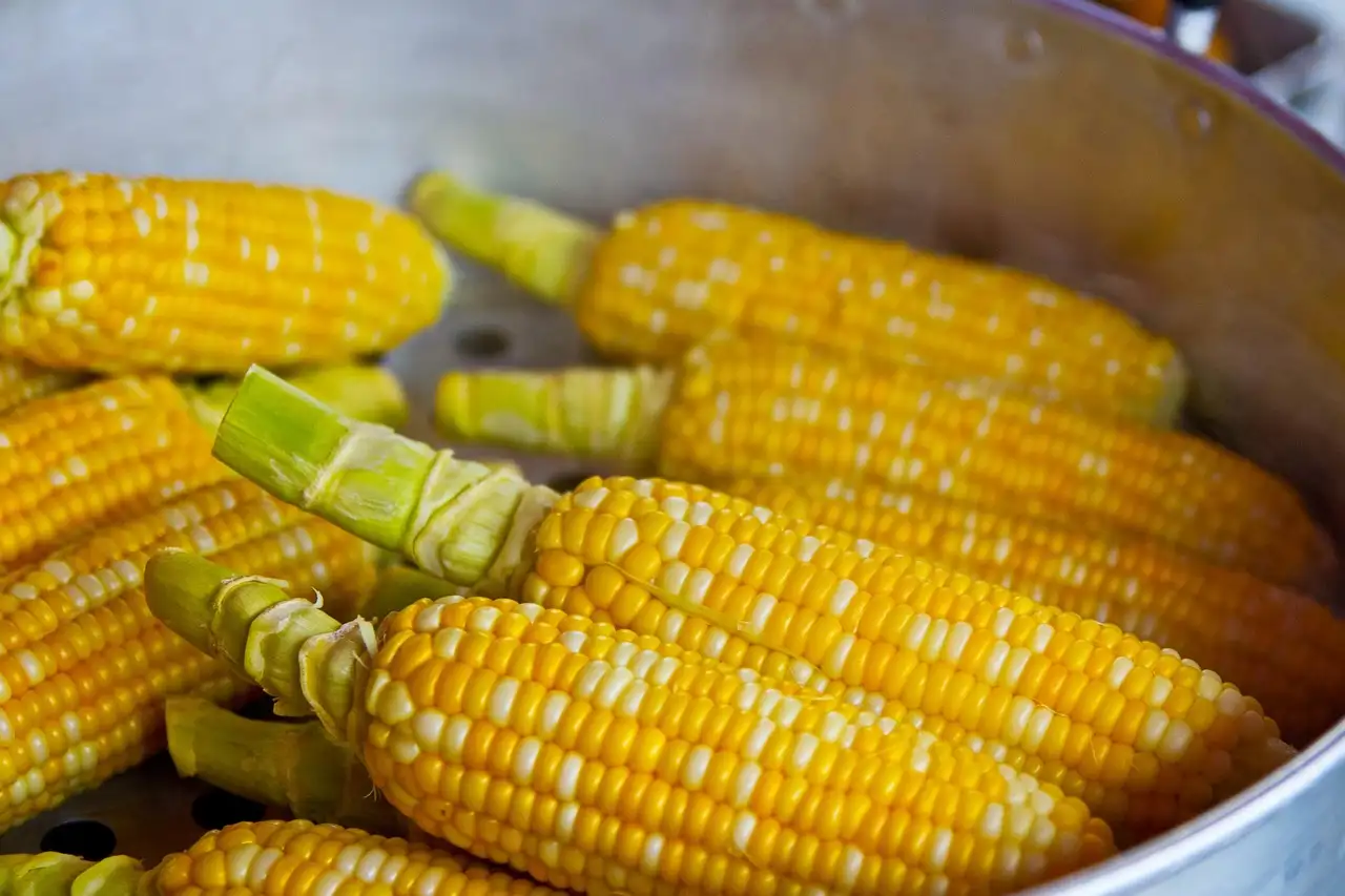 Melkzuur en veganisme: De waarheid over het ingrediënt.