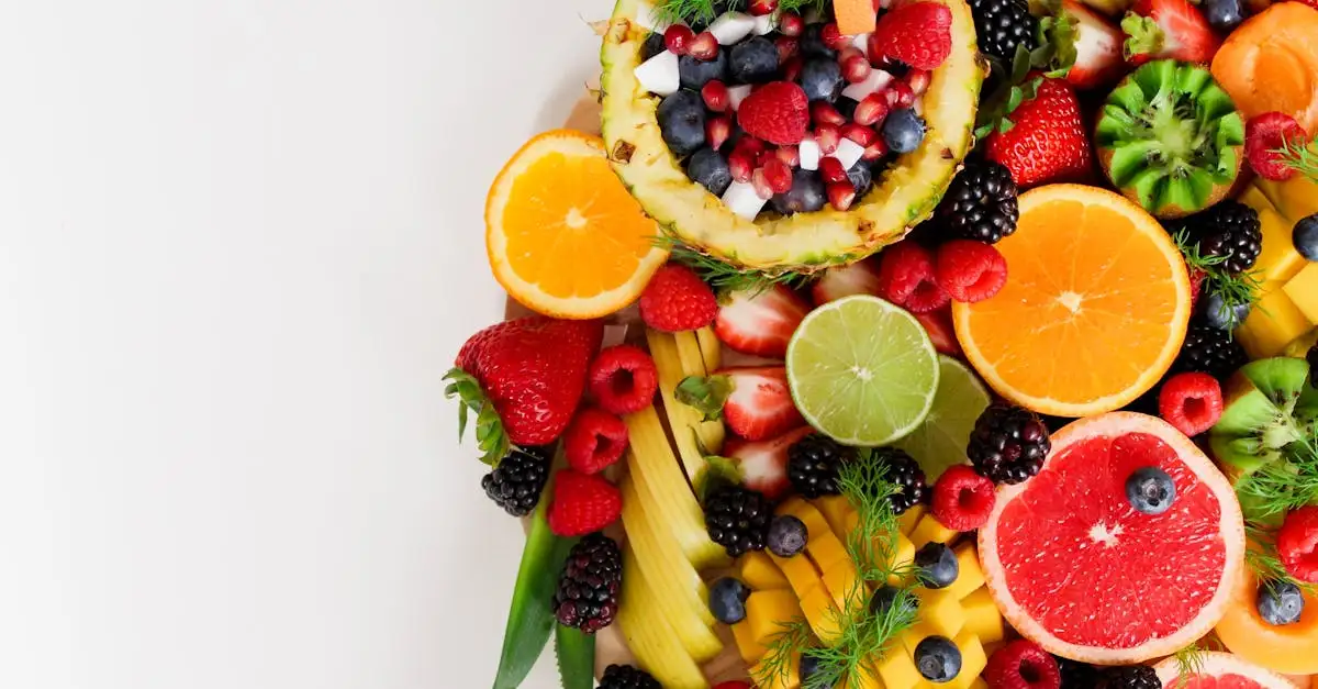 De Vegabijbel: Ontdek de Ultieme Gids voor Plantaardig Eten