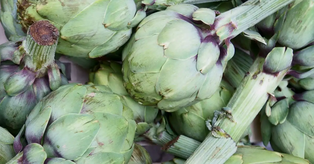Ontdek de voordelen van vegan en vegetarisch eten.