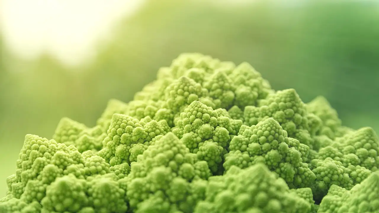 Vegan kookworkshop: Leer plantaardig koken