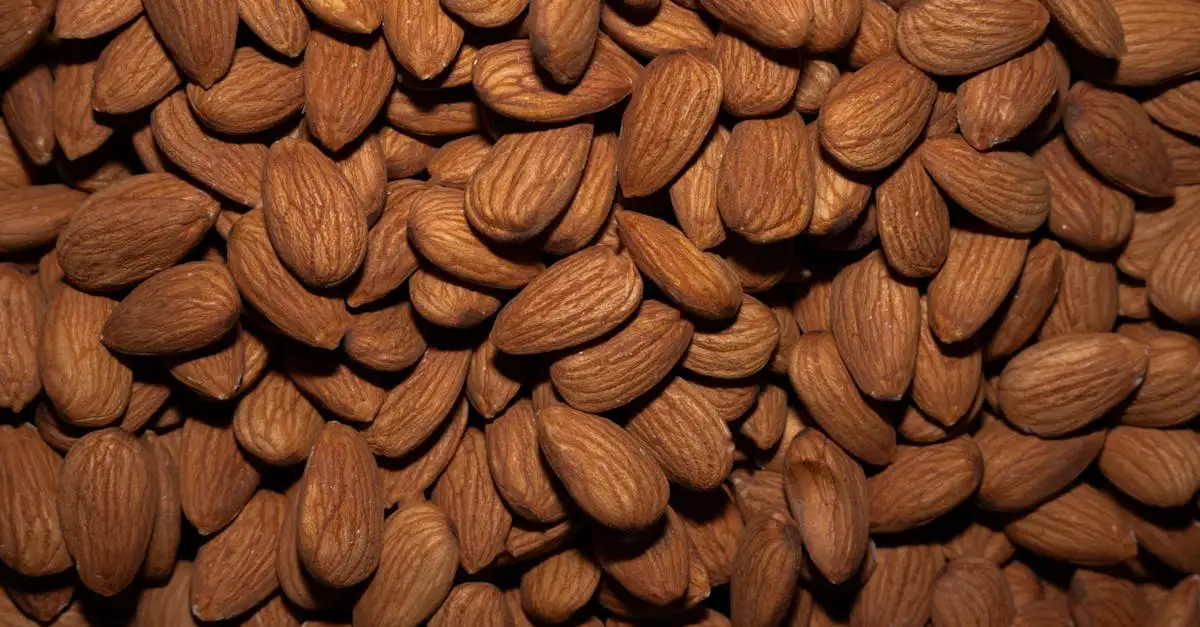Vegan oestersaus kopen | Lekker en diervriendelijk
