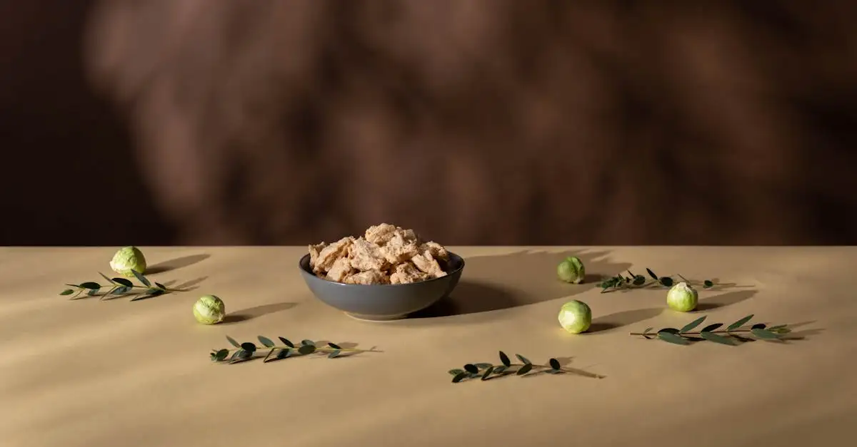 Vegan soja producten kopen en ontdekken