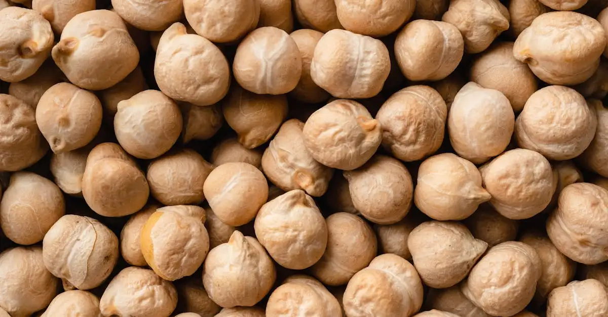 Vegan voedingsschema: Eenvoudig en gezond eten