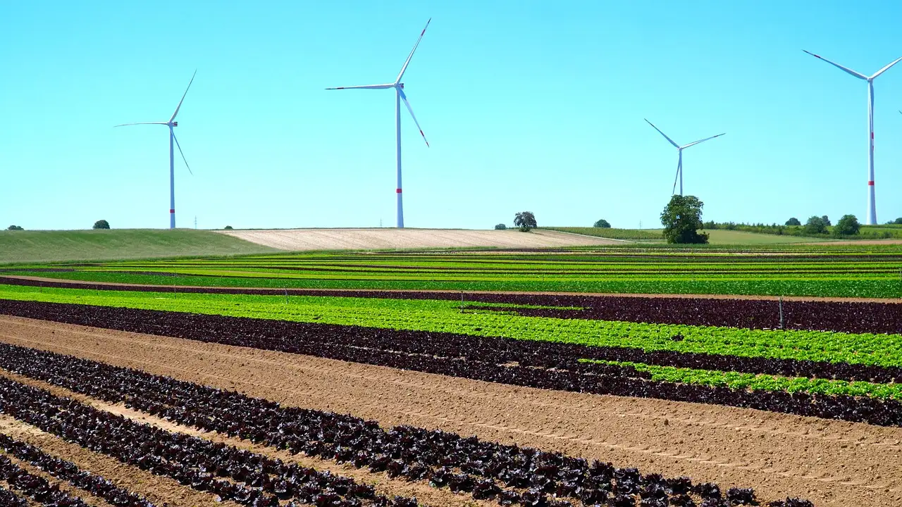 Gezond, smaakvol en 100% plantaardig: de veganburger.