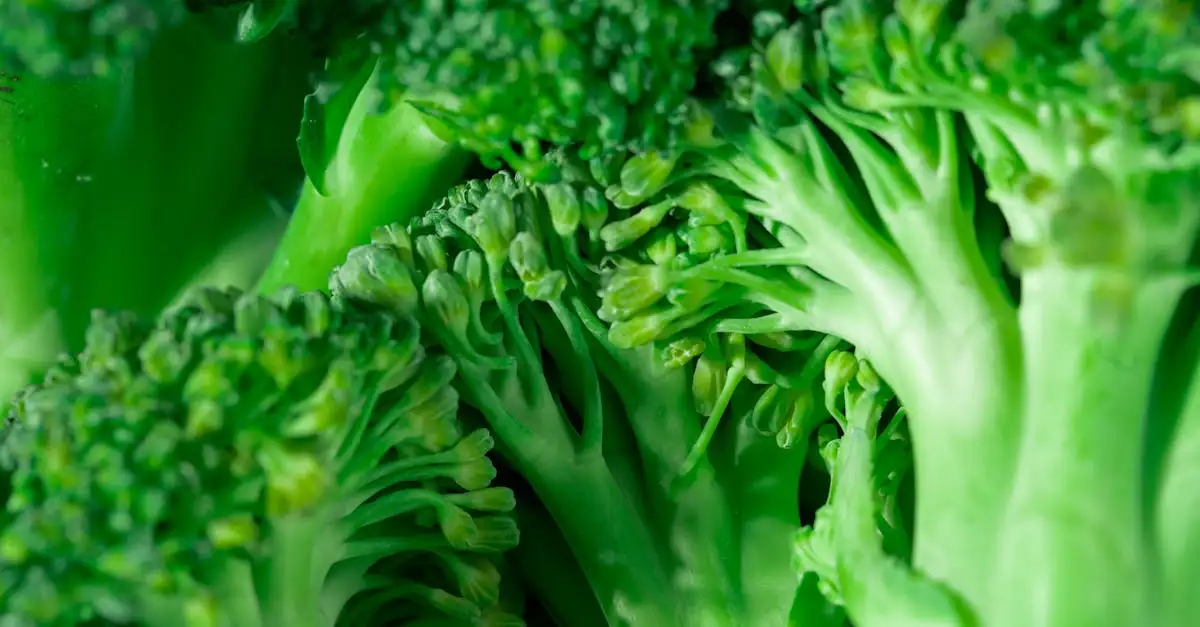 Vegan challenge: Start nu jouw plantaardige avontuur
