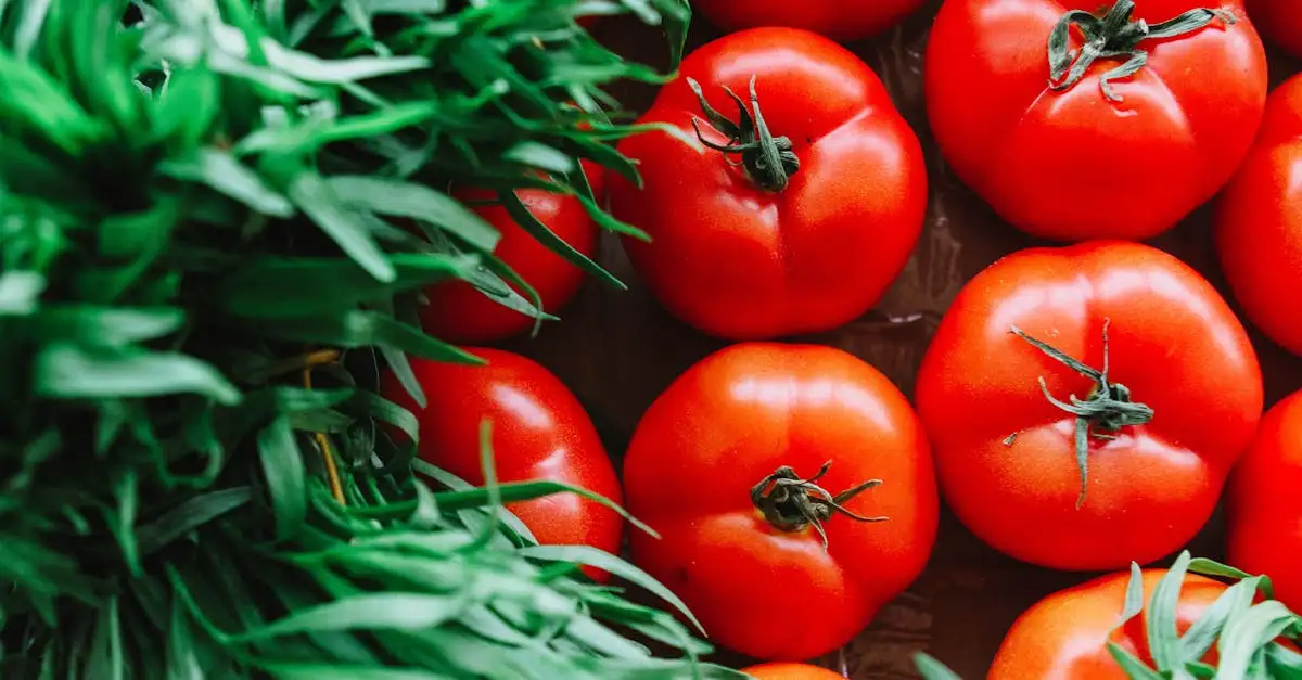 Veganistisch leven: Tips en inspiratie voor beginners
