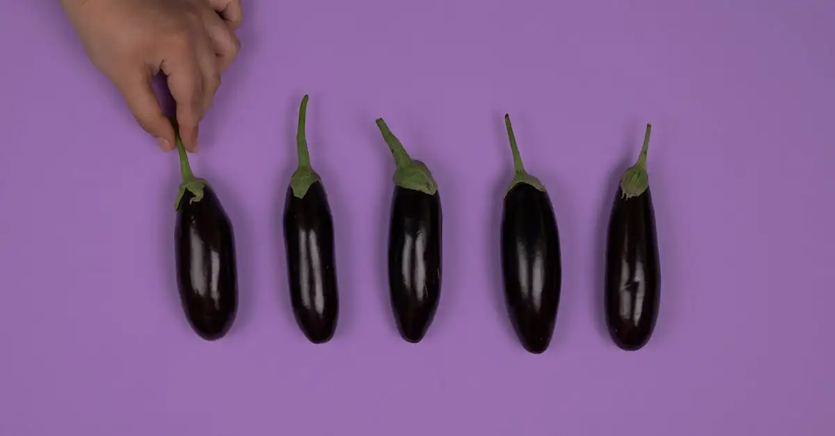 Vegetariër worden: Tips en stappen voor een plantaardig