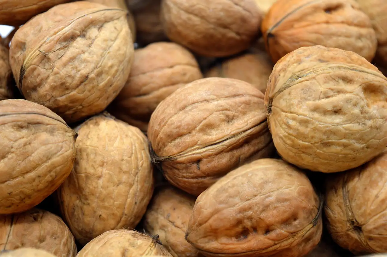 Makkelijk vegetarisch avondeten: snelle en lekkere recepten