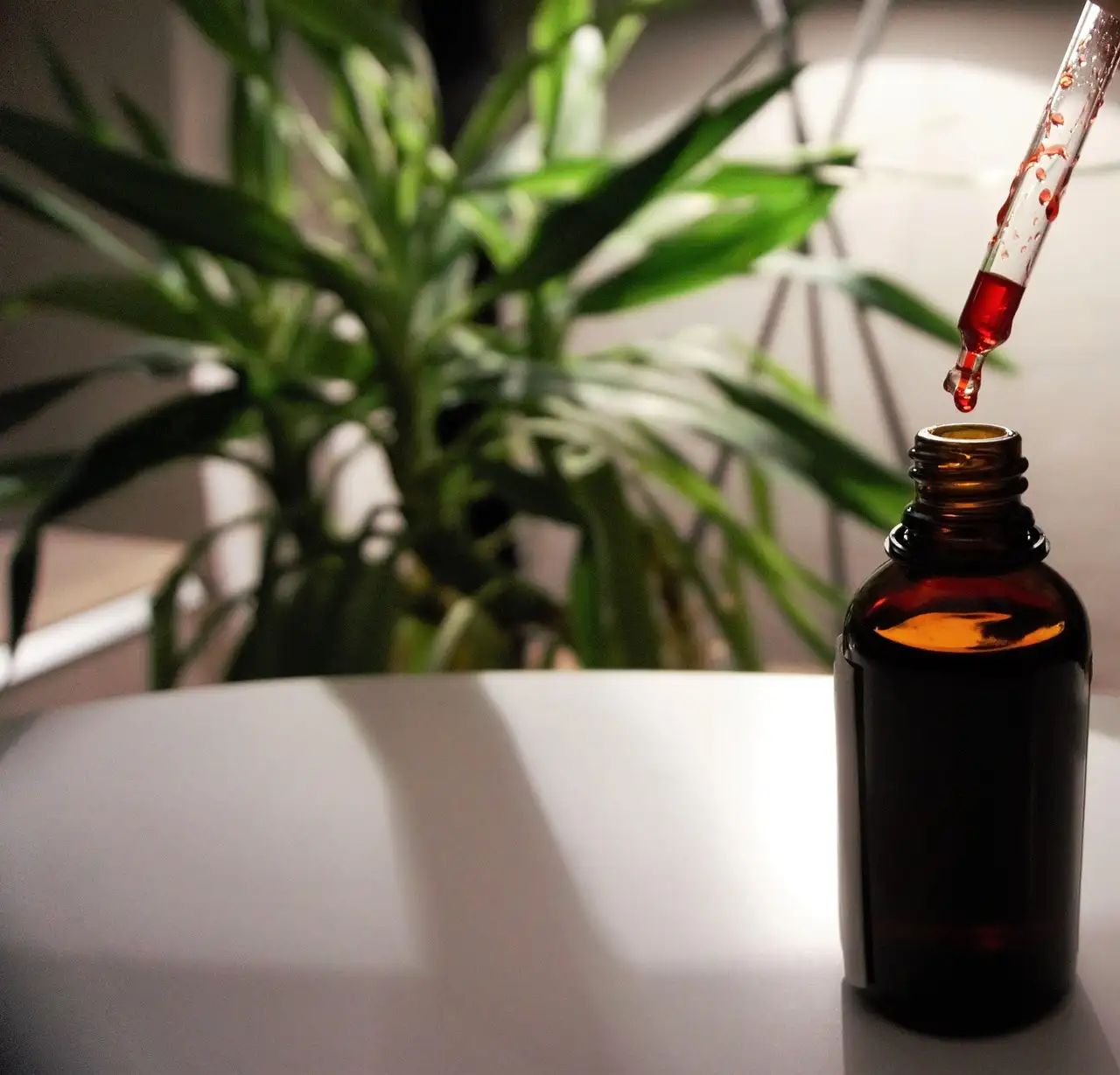 De beste bronnen van vitamine B12 voor vegetariërs