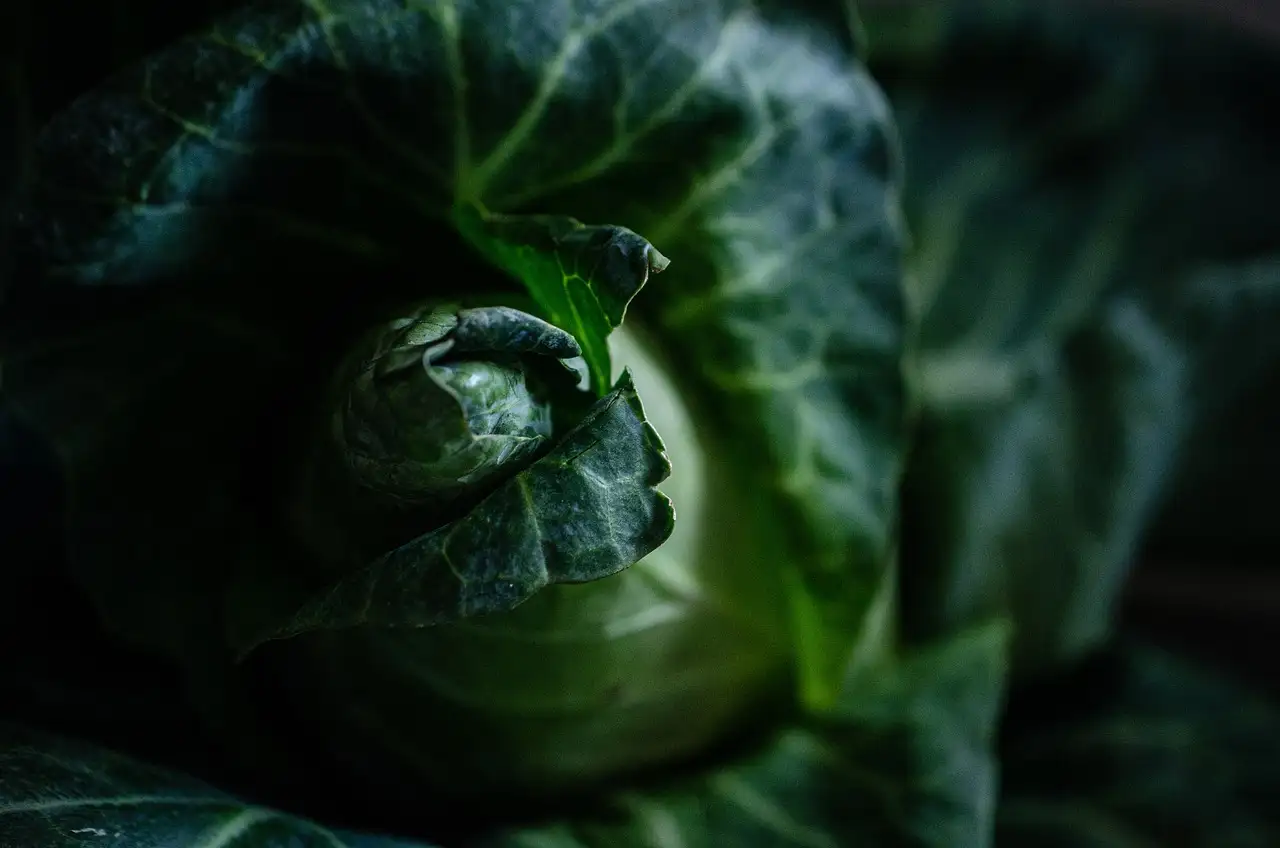 Heerlijk vegetarisch worstenbroodje proberen?