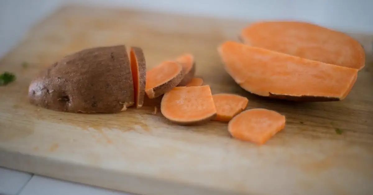 Makkelijke vegetarische gerechten voor elke dag
