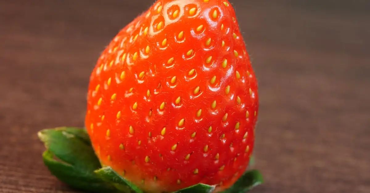 Vegetarische toko: Heerlijk eten met veel smaak
