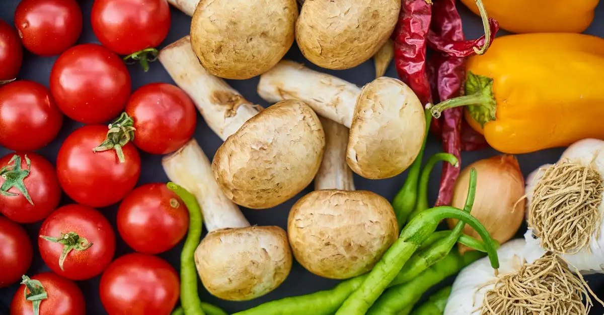 Vuna Vegan: Waarom overstappen op plantaardig eten?